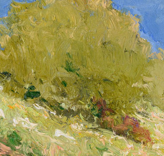 Summer Meadow. HIllside