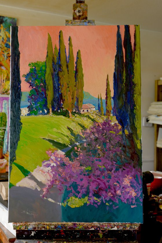 Cypresses. Evening