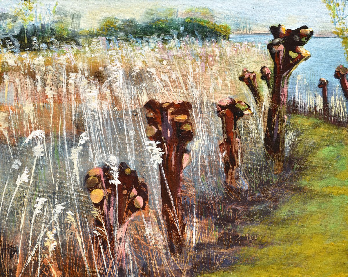 Impressionistic Landscape Oil Painting By Hilde Hoekstra, 12 X 9, Along The Pollard Willows, Original Artwork