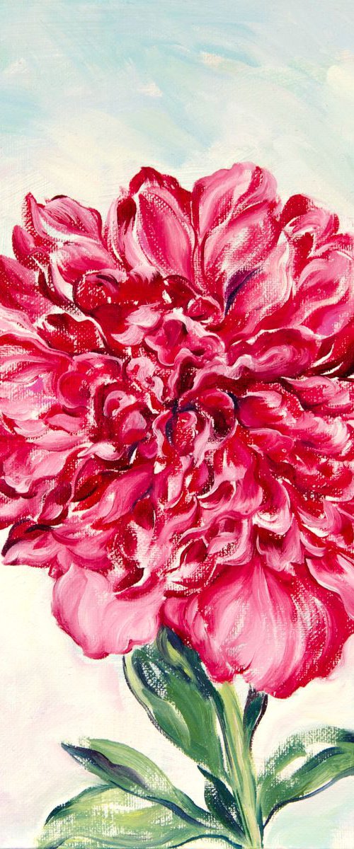 Pink Peony. 2017 by Daria Galinski