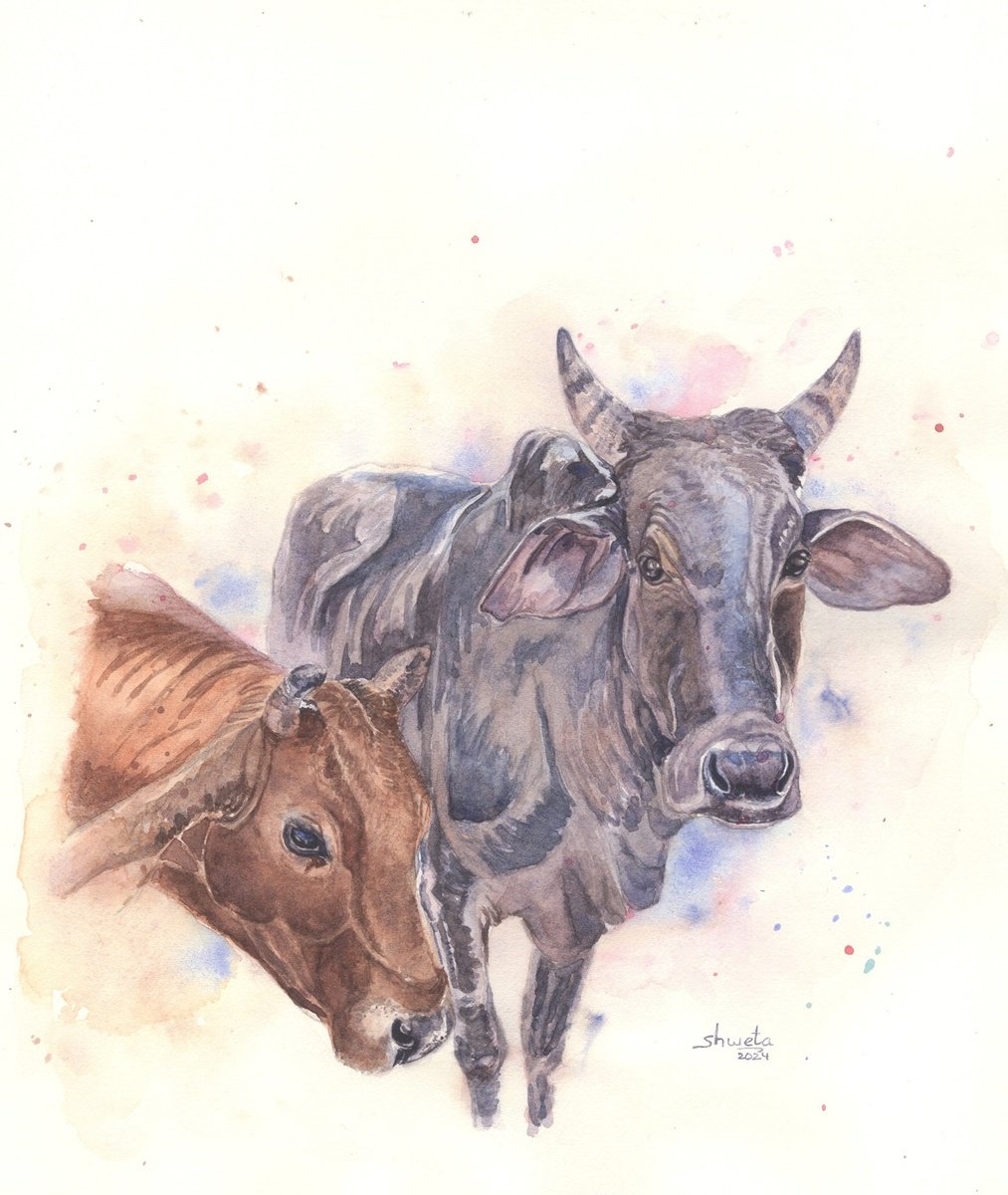 Photorealistic Animal Watercolour By Shweta Mahajan, 8 X 10", Two Cows, Original Artwork