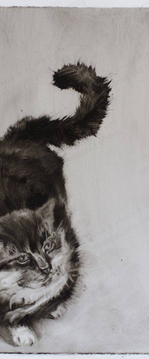 Cat by Marina Skepner