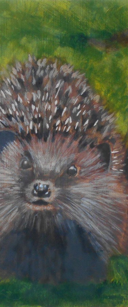 Hedgehog in Oil by Eleanore Ditchburn