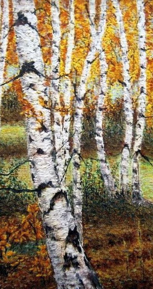 Birch trees in the forest .. by Emília Urbaníková