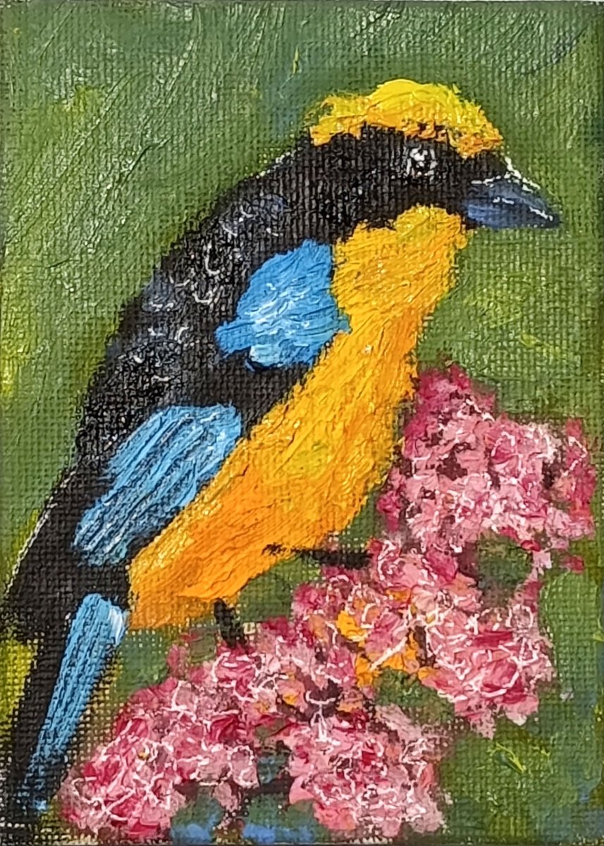 Bird 12.12 by Salana Art / Svetlana Samovarova