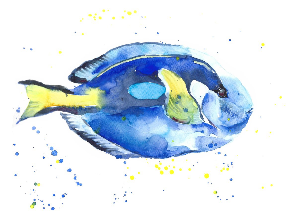Hippo Pacific Blue tang fish, Surgeonfish watercolor by Tanya Amos