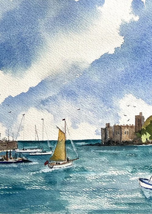 The Dart Estuary by Brian Tucker