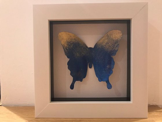 Single butterfly - Blue & Gold