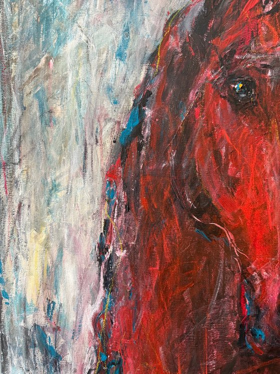 Red horse