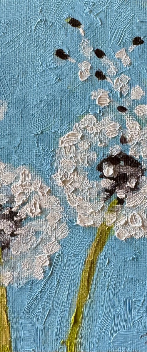 Dandelions by Ekaterina Dutkevich