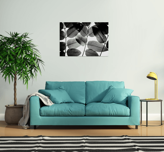 Experiments with Leaves II | Limited Edition Fine Art Print 1 of 10 | 90 x 60 cm