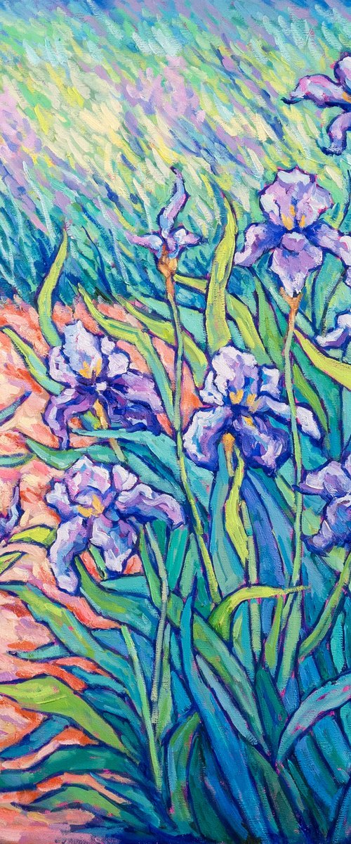 Purple Iris by Tao Bai