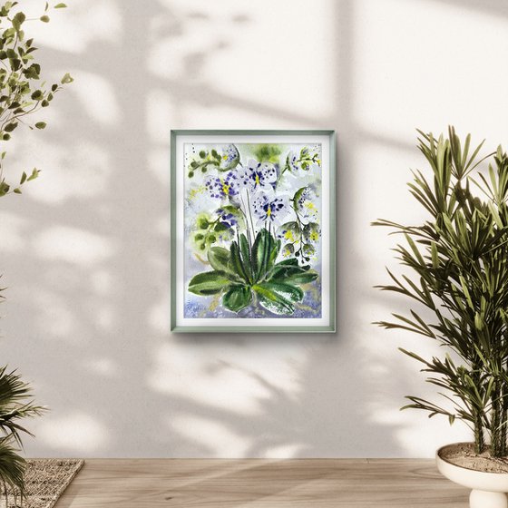 White Orchid in a pot