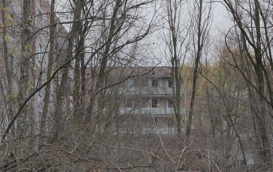 #23. Pripyat old yard 1 - XL size