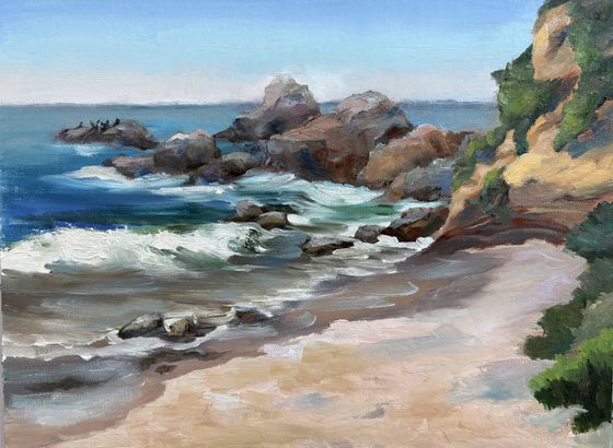 Rhythms of the Shore