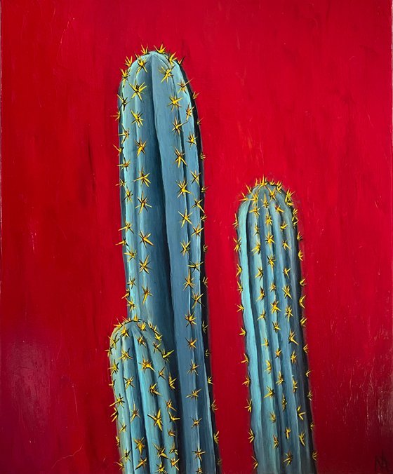 Fire cactus