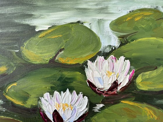 Serenity of Water Lilies