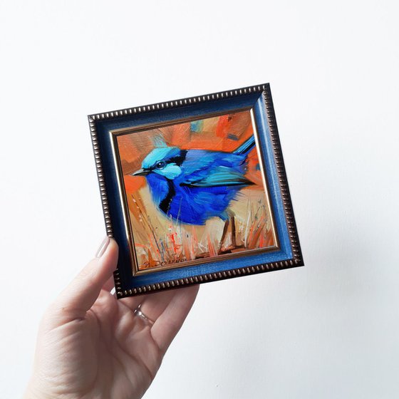 Fairywren bird painting, Small painting of bird in frame, Pocket bird art painting, Blue bird art 4x4