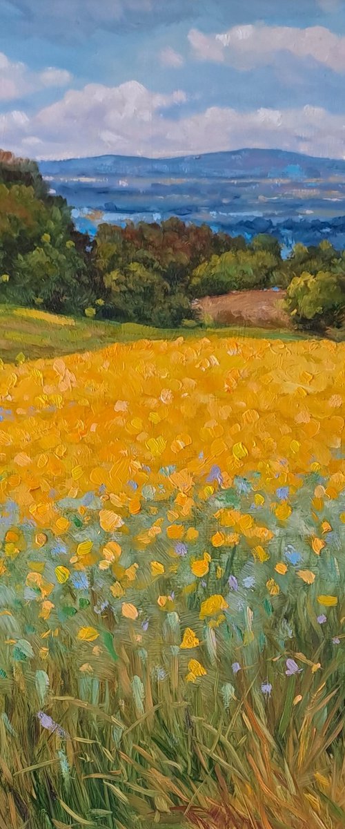 Yellow field in Tuscany by Claudio Ciardi
