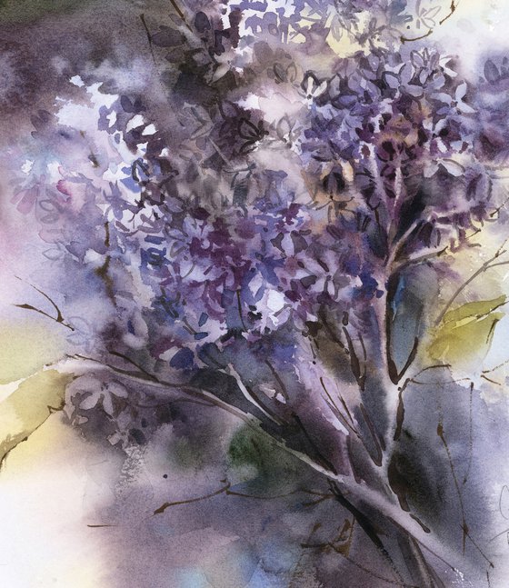 Lilac flowers