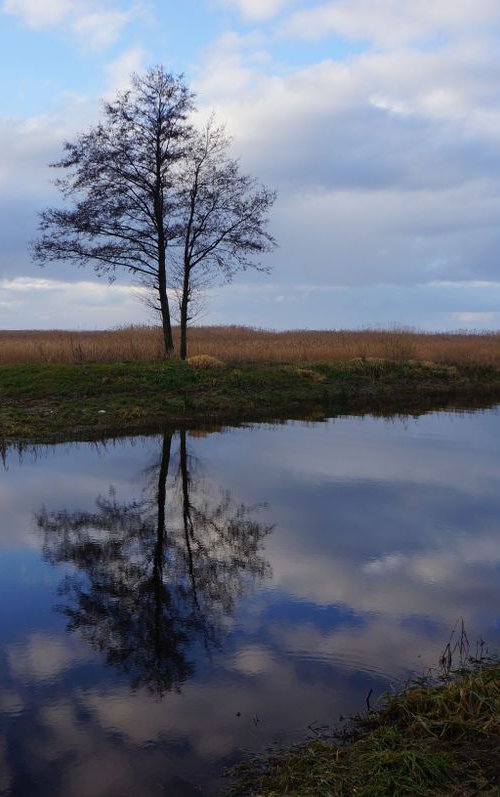 Photography | Curonian Lagoon | Mirrors of Curonian Lagoon by Egle Selevi