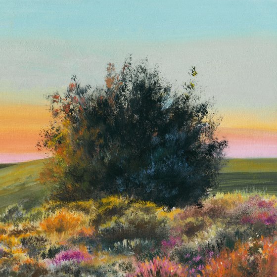 Country path with colorful flowers