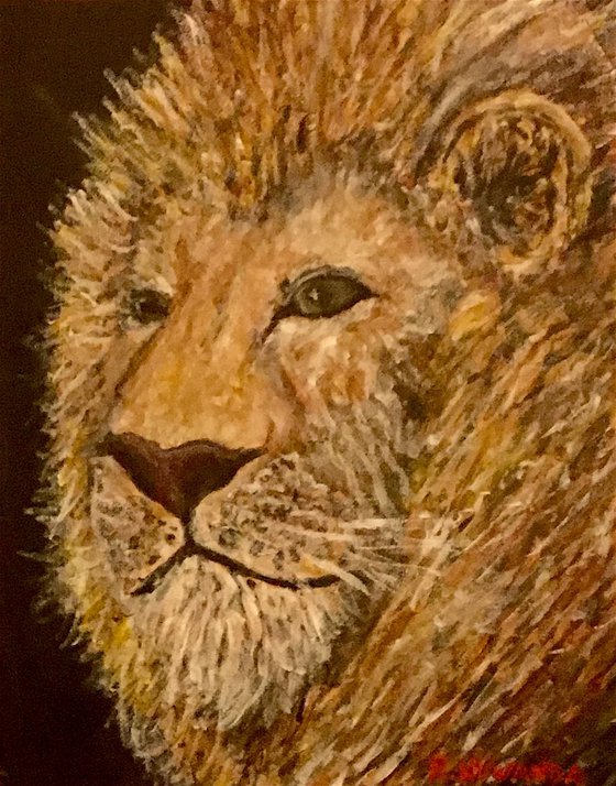 Posing Lion