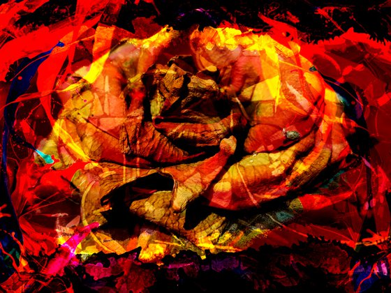 Abstract Rose