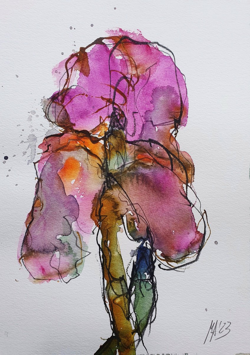 Gladiolus by Michael Arndt
