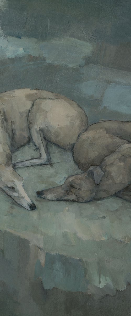 Sleeping Greyhounds by Steve Mitchell