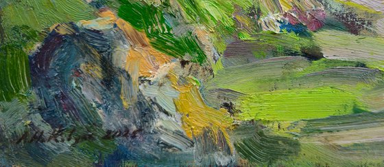 Landscape - One of kond