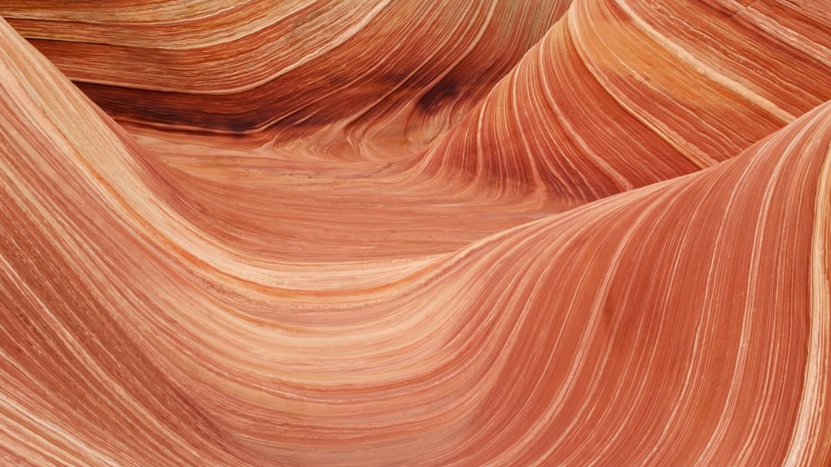 The Wave in the Coyote Buttes by Alex Cassels