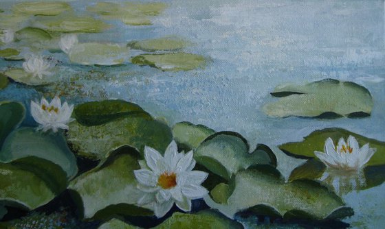 Waterlilies pond