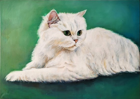 White Persian cat with green eyes