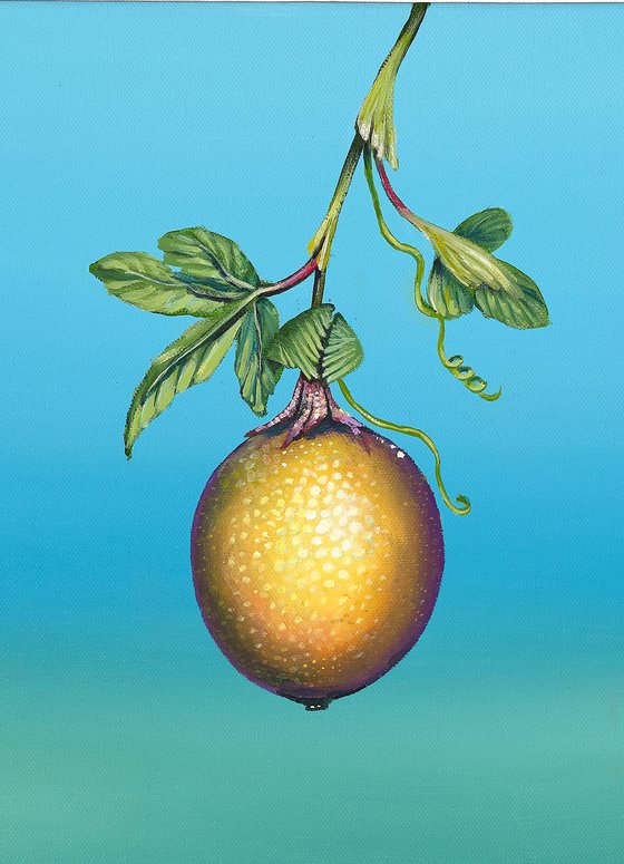 O Maracjua-Passion Fruit Mini2