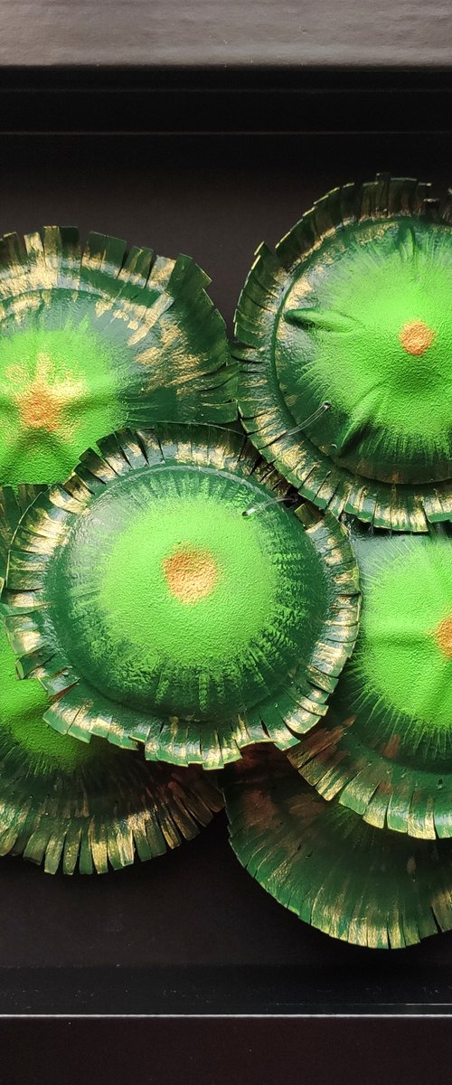 Zoanthids colony-4 by Swapna Namboodiri