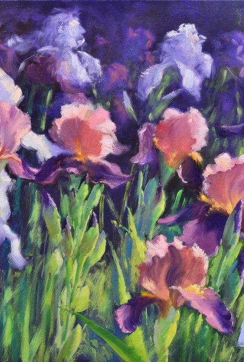Irises illuminated by the sun by Ruslan Kiprych