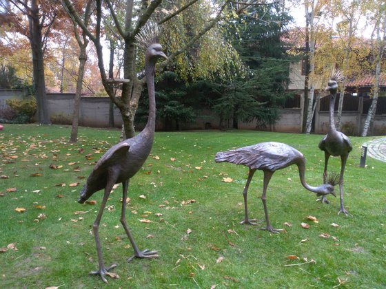"Cranes"