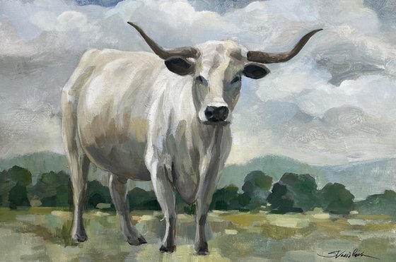 White Longhorn Cow