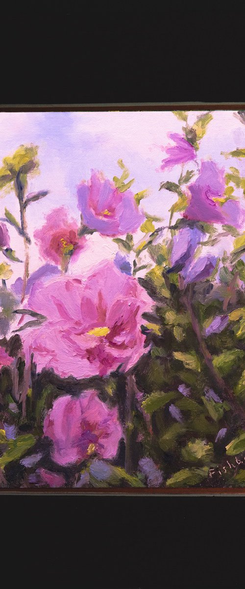 Purple Rose of Sharon Blossoms by Daniel Brian Fishback