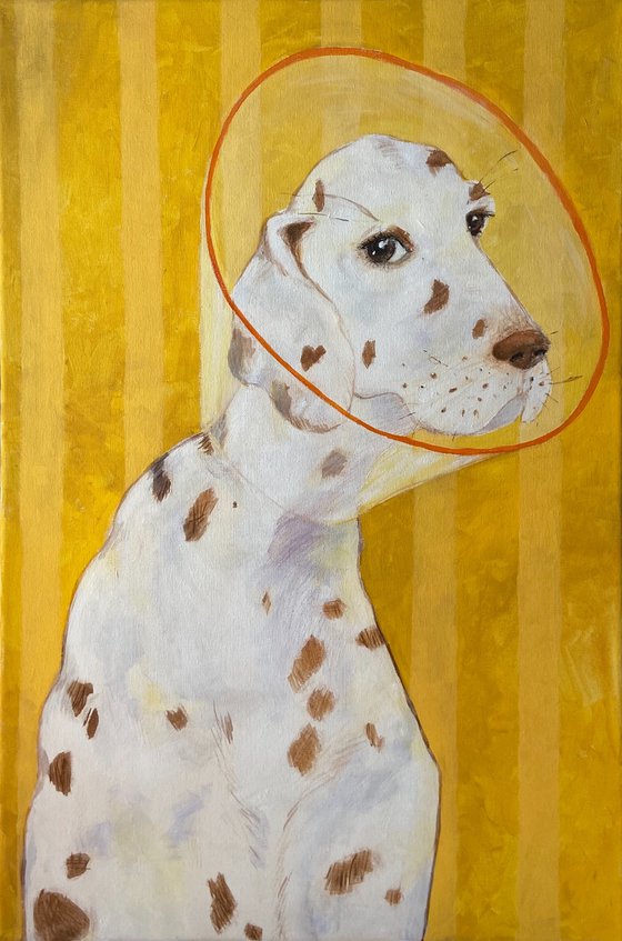 Dalmatian portrait