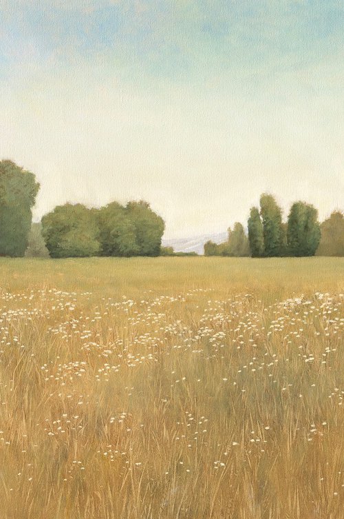 Summer Fields 251019 by Don Bishop