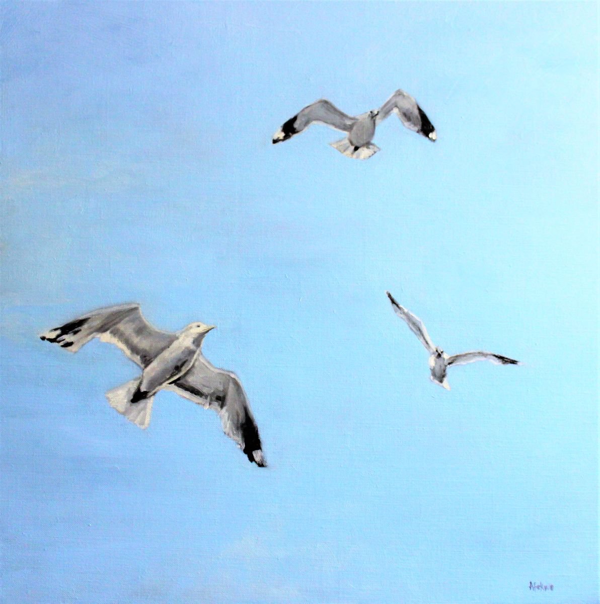 Impressionistic Animal Oil Painting By Afekwo, 20 X 20, To The North - Seagulls, Original Artwork