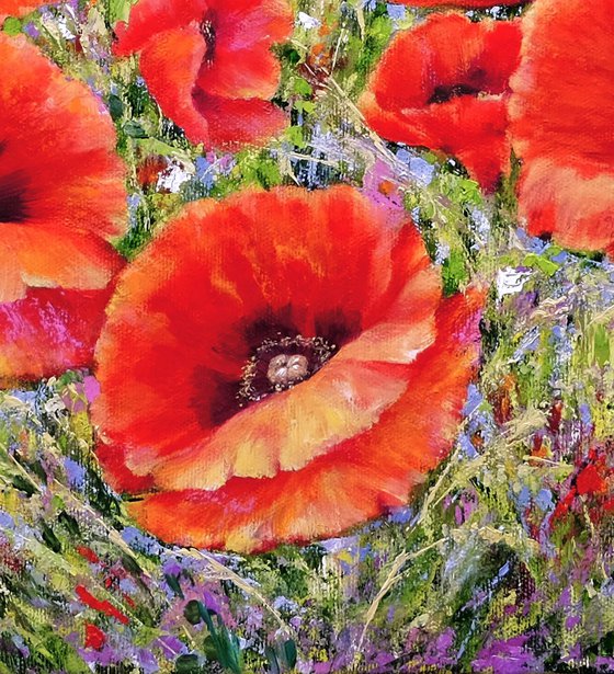 Poppies with wild flowers.