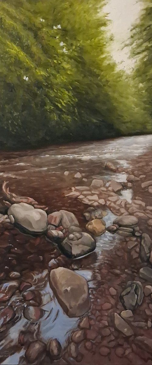 The Riverbank (River Taff) by Steffan Johnson