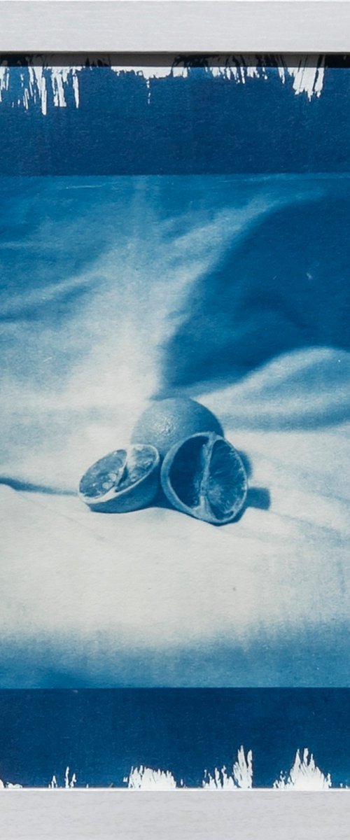Still Life, Cyanotype by Mark Hannah