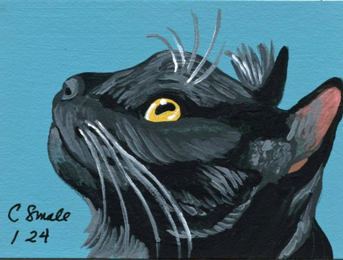Black Cat by Carla Smale