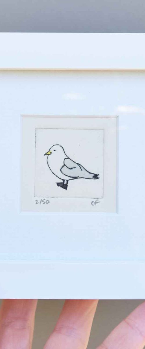 Mini framed kittiwake by Sally Fisher