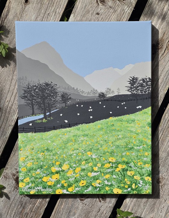 Patterdale Meadow