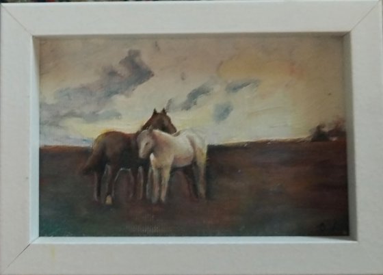 horses